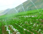 PE灌溉管銷售生產